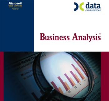 Business Analysis - data comunication - ibc group - informatics business consultants 